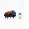 Playstan RC spider toy side view with remote control